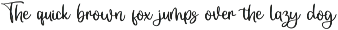Camilora preview