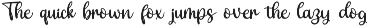 Mistyfin preview