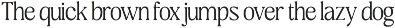 Flowers Of Nineties - (18 Fonts) preview