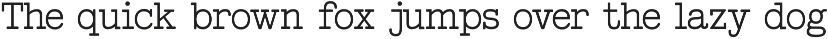 Feedbacker Typewriter preview