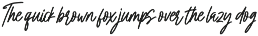 Midtime Script - Casual Brush preview