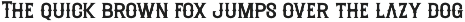 Riders Riots - Vintage Display Font preview