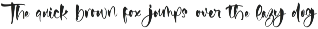 Fainter Bold Brush Font preview