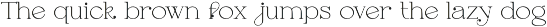 Feona Delicate Serif preview