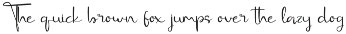 Galine Amours - Modern Handwritten preview