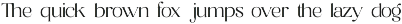 Bagler - Ornamental Display Font preview