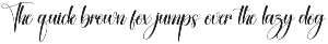 Victorian | Script Font preview