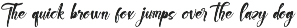 Chinstrap Stucky Bold Brush Font preview