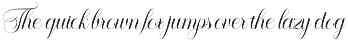 Brineta preview