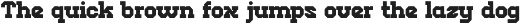 Chop Squad - Modern Serif Font preview