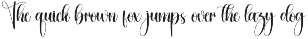 Bigsister | Script Font preview