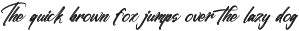 Stoplight Bold Calligraphy Font preview