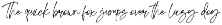 Dirtight - Duo Font preview