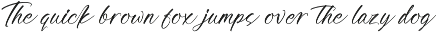 Awakening Gallop Modern Brush Font preview