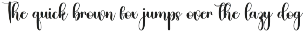 Bluey preview
