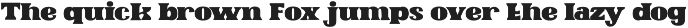 BUSRO - Serif Display Font preview