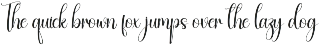 Autography | Script Font preview