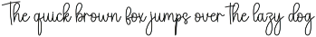 Boston | Script Font preview