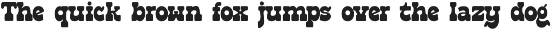 Raken - Vintage Bold Logo Font preview