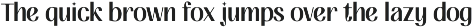 FIBULAR SANS - Variable Display Type preview