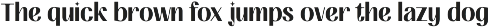 FIBULAR SANS - Variable Display Type preview