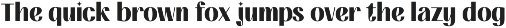 FIBULAR SANS - Variable Display Type preview