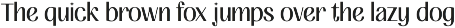 FIBULAR SANS - Variable Display Type preview