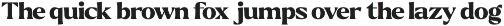 Callum Text Serif | 9 Font preview