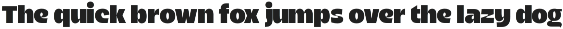 Fourest - The Bold Typeface preview