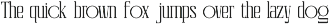 Celvio Monase | New Display Serif preview