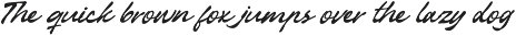 Sellinaty - Beautiful Script Font preview