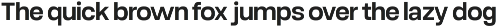 Robout - Rigit Sans 9 Fonts preview
