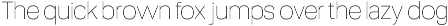 Robout - Rigit Sans 9 Fonts preview