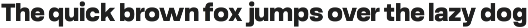 Robout - Rigit Sans 9 Fonts preview