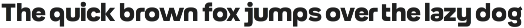 Rink - Geometric Sans 9 Fonts preview