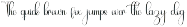 Mandalika Signature preview