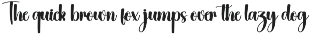 Rafting | Script Font preview