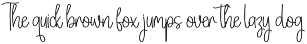 Amsterdam Signature | Script Font preview