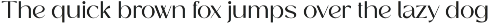 Presque Elegante - Ligature Font preview
