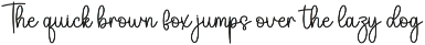 Beach | Script Font preview