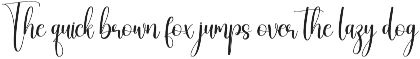 Montage Signature | Script Font preview