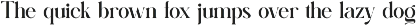 Bager Newton Elegant Serif Font preview