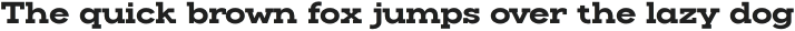 Slaab SemiWide ExtraBold otf (700) Sample