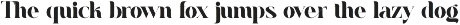 Anika Elegant Display Serif Font preview
