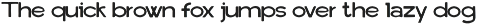 Elliote Rough Sans Serif Font preview