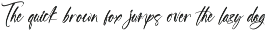 Blazking Bold Brush Font preview