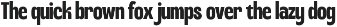 Hubiron Condensed Sans preview