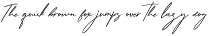 Anestesie - Script Typeface preview