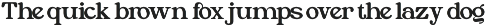 Funjoy preview