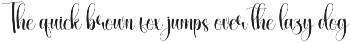Youngish | Script Font preview